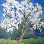 "Appletree in Blossom"