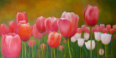 "From Holland to Ottawa" N.F.S.