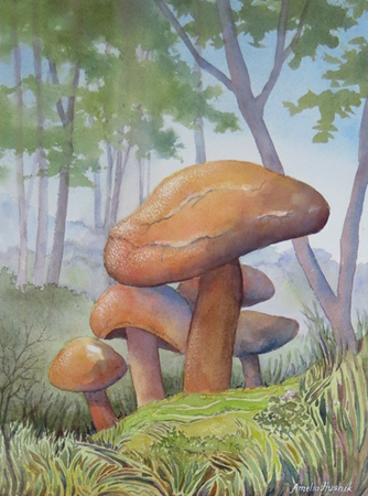 Mushrooms
