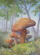 Mushrooms